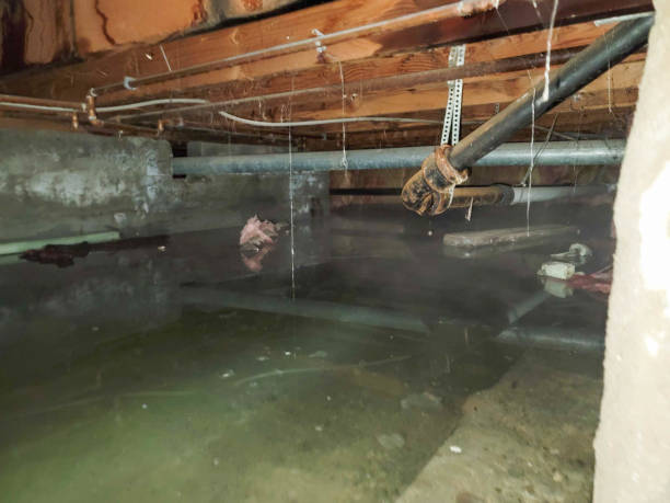 Best Residential Water Damage Restoration in Marble Hill, MO